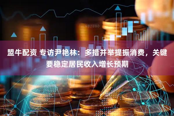 盟牛配资 专访尹艳林：多措并举提振消费，关键要稳定居民收入增长预期